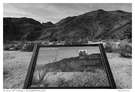Colorado Desert interpretive sign. Joshua Tree National Park (black and white)