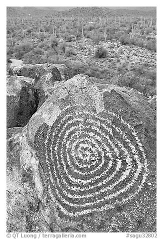 Circular Hohokam petroglyph. Saguaro National Park, Arizona, USA.