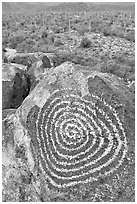 Circular Hohokam petroglyph. Saguaro National Park, Arizona, USA. (black and white)
