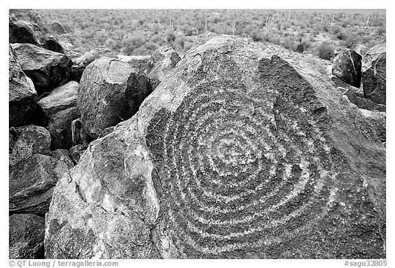 Hohokam petroglyphs on Signal Hill. Saguaro National Park (black and white)