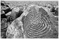 Hohokam petroglyphs on Signal Hill. Saguaro National Park, Arizona, USA. (black and white)