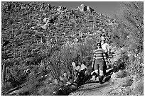 Hiking down Hugh Norris Trail amongst saguaro cactus. Saguaro National Park, Arizona, USA. (black and white)