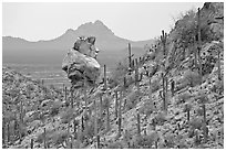 Cactus slope and balanced rock. Saguaro National Park, Arizona, USA. (black and white)