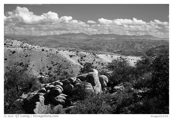 Boulders, Rincon Mountains foothills. Saguaro National Park (black and white)