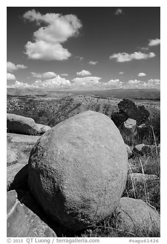 Round boulder, Rincon Mountains foothills. Saguaro National Park (black and white)