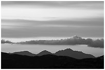 Mountains and clouds at sunset, Rincon Mountain District. Saguaro National Park ( black and white)