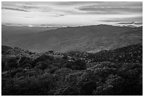 Sunset from Rincon mountains. Saguaro National Park ( black and white)