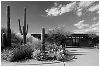 Rincon Visitor Center. Saguaro National Park ( black and white)