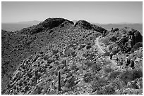 Hikers on trail below Wasson Peak. Saguaro National Park ( black and white)