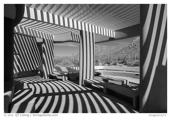 Red Hills Visitor Center patio and shadows. Saguaro National Park (black and white)
