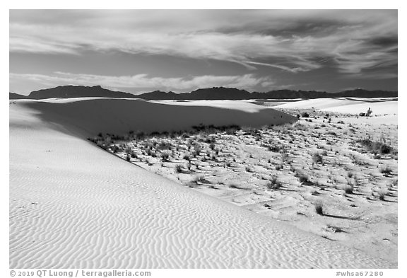 Backcountry camping area. White Sands National Park (black and white)