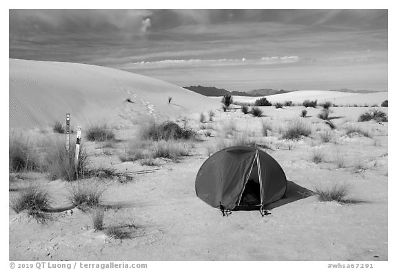 Tent at backcountry campsite. White Sands National Park (black and white)