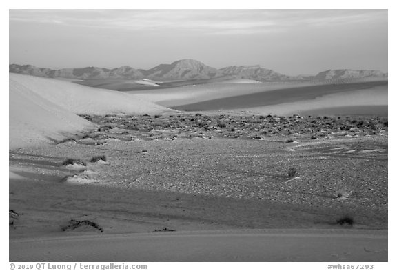 Dunes and flat depression at sunrise. White Sands National Park (black and white)