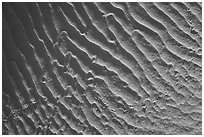 Close-up of ripples and bird tracks. White Sands National Park ( black and white)
