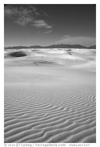 View from high dune,  Heart of the Sands. White Sands National Park (black and white)
