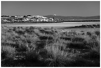 Shrubs, playa, and Sierra Blanca Peak. White Sands National Park ( black and white)