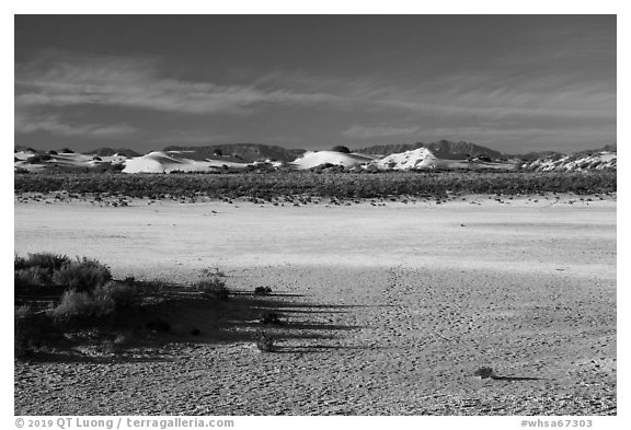 Playa and sand dunes. White Sands National Park (black and white)