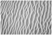 Close-up of dune ripples and kangaroo rat tracks. White Sands National Park ( black and white)