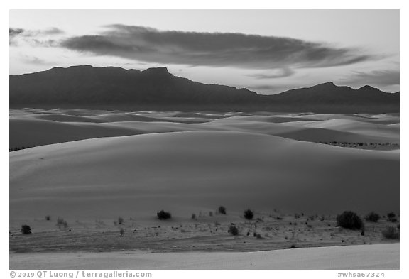 Dunes, Andres Mountains, and cloud at sunset. White Sands National Park (black and white)