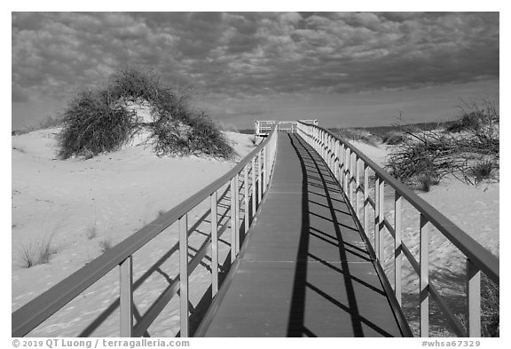 Interdune boardwalk. White Sands National Park (black and white)