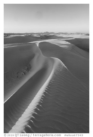 Last light on dune ridges. White Sands National Park (black and white)