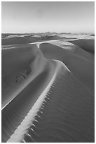 Last light on dune ridges. White Sands National Park ( black and white)