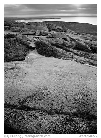 View from top of Mt Cadillac with granite slab covered with lichen. Acadia National Park (black and white)