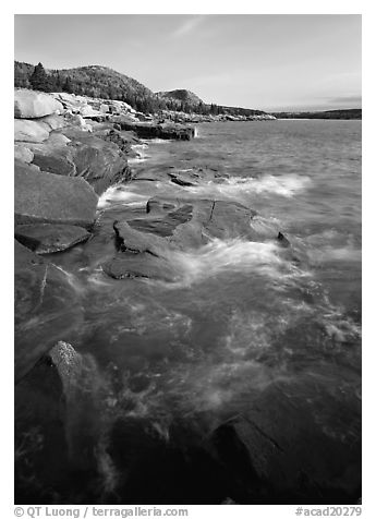 Pink granite slabs on the coast near Otter Point, morning. Acadia National Park (black and white)