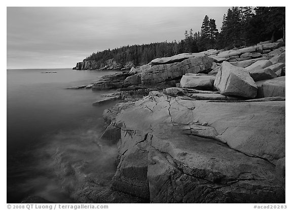 Granite slabs and Otter Point at sunrise. Acadia National Park (black and white)