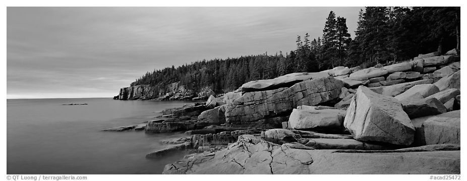Rocky ocean coast at sunrise, Otter Point. Acadia National Park (black and white)