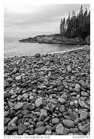 Pebbles and cove, Hunters beach. Acadia National Park (black and white)