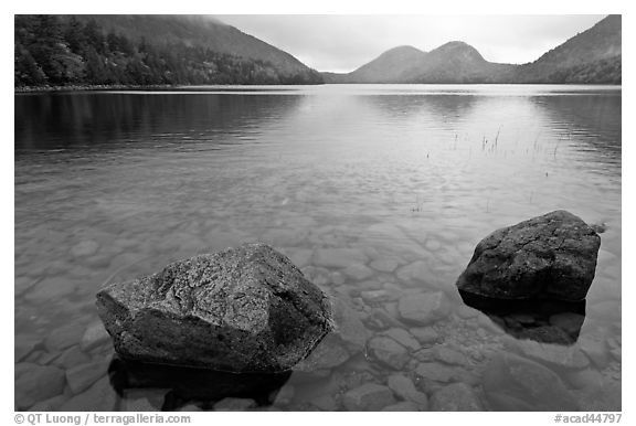 Two boulders in Jordan Pond on foggy morning. Acadia National Park (black and white)
