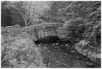 Carriage road bridge crossing stream. Acadia National Park ( black and white)