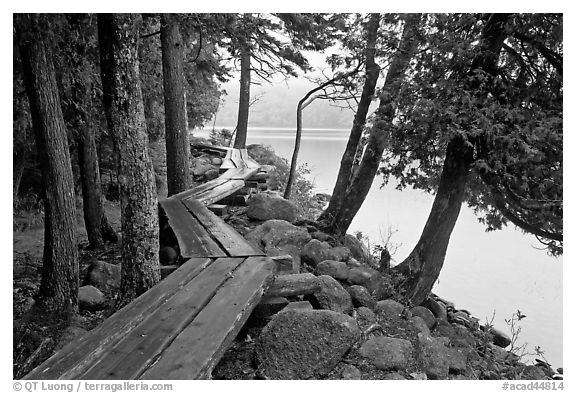 Boardwalk on shores of Jordan Pond. Acadia National Park (black and white)