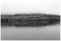 Hill reflected in Jordan Pond with top covered by fog. Acadia National Park, Maine, USA. (black and white)