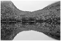 Hill curve and trees in fall foliage reflected in Jordan Pond. Acadia National Park ( black and white)