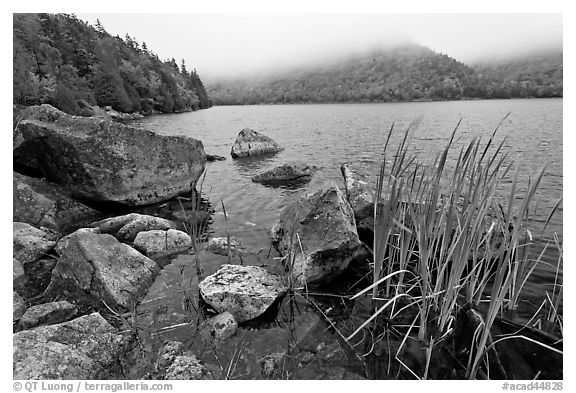 Jordan pond shore in a fall misty day. Acadia National Park (black and white)