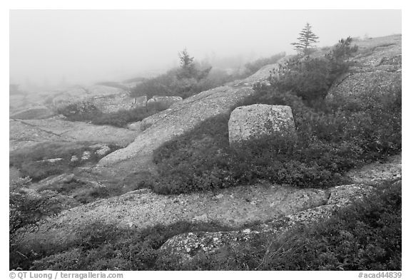 Summit of Cadillac Mountain during heavy fog. Acadia National Park (black and white)