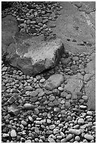 Pebbles in and out of water, Schoodic Peninsula. Acadia National Park, Maine, USA. (black and white)