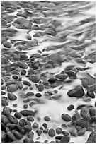 Close-up of pebbles in surf, Schoodic Peninsula. Acadia National Park ( black and white)