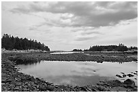 East Pond, Schoodic Peninsula. Acadia National Park, Maine, USA. (black and white)