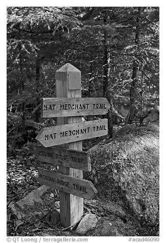 Signs at trail junction, Isle Au Haut. Acadia National Park (black and white)