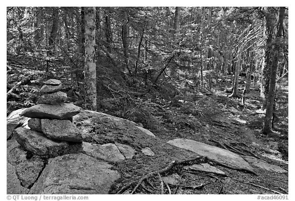 Cairn on trail, Isle Au Haut. Acadia National Park (black and white)