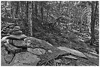 Cairn on trail, Isle Au Haut. Acadia National Park, Maine, USA. (black and white)
