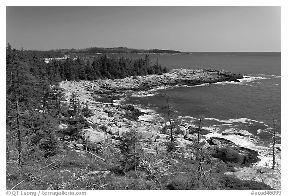 Isle Au Haut shoreline. Acadia National Park (black and white)