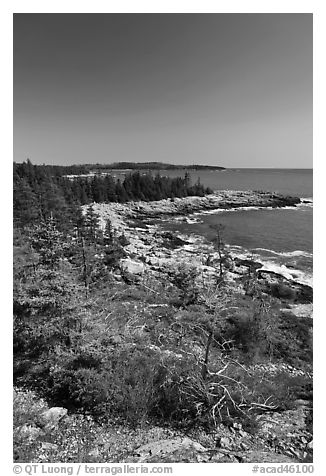Rocky coastline, Isle Au Haut. Acadia National Park (black and white)