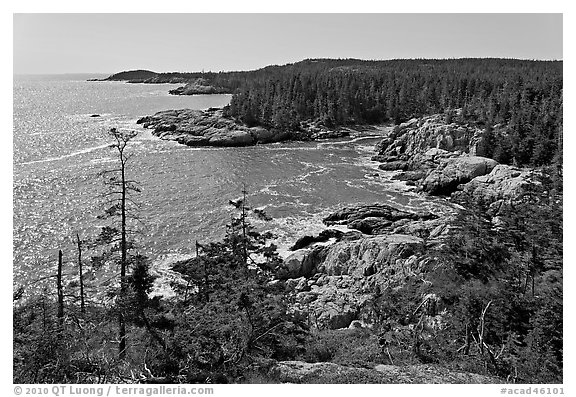 Coastline seen from Goat Trail, Isle Au Haut. Acadia National Park, Maine, USA.