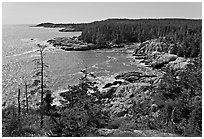 Coastline seen from Goat Trail, Isle Au Haut. Acadia National Park, Maine, USA. (black and white)
