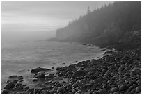 Otter cliff and cobblestones on misty morning. Acadia National Park, Maine, USA. (black and white)