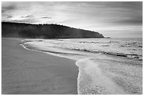 Deserted Sand Beach at dawn. Acadia National Park ( black and white)
